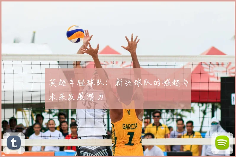 英超年轻球队：新兴球队的崛起与未来发展潜力